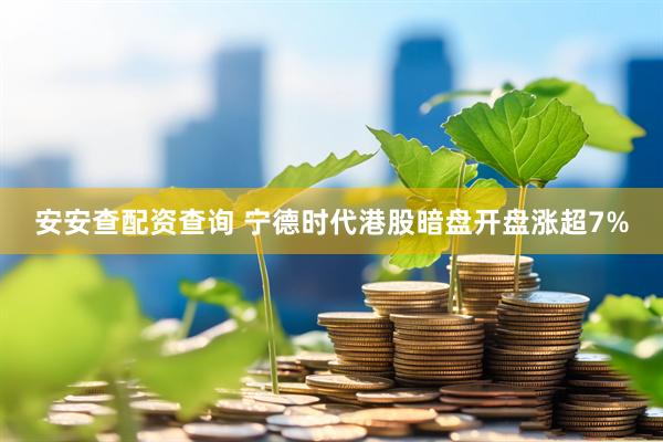 安安查配资查询 宁德时代港股暗盘开盘涨超7%