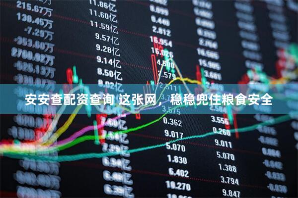安安查配资查询 这张网，稳稳兜住粮食安全