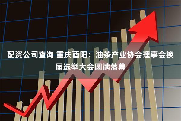 配资公司查询 重庆酉阳:油茶产业协会理事会换届选举大会圆满落幕